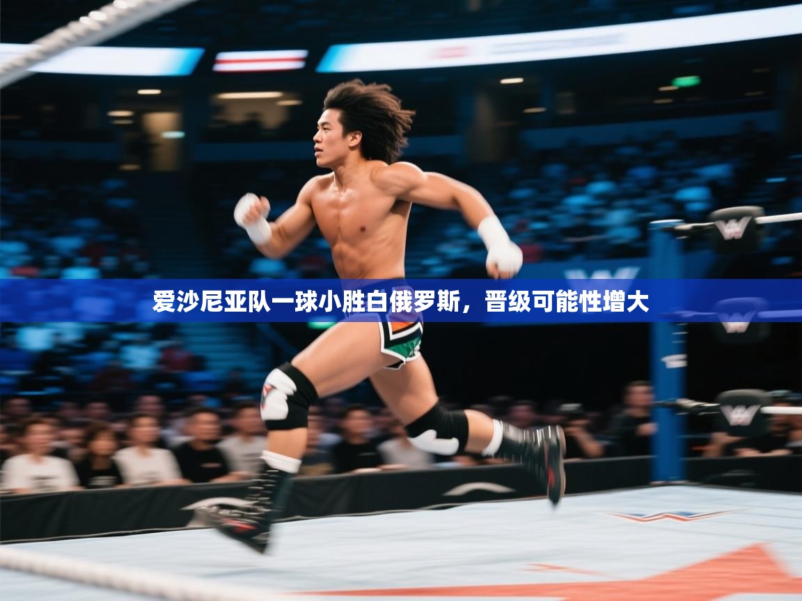 爱沙尼亚队一球小胜白俄罗斯,晋级可能性增大 第1张