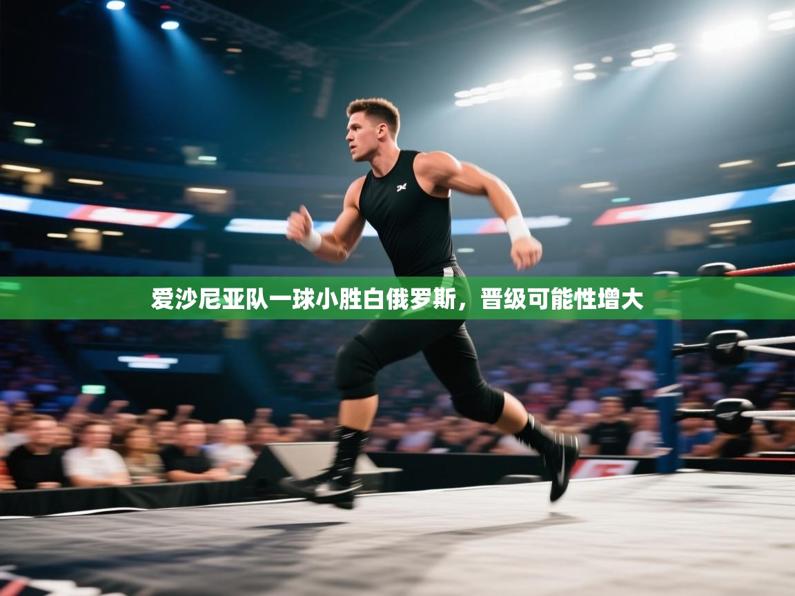 爱沙尼亚队一球小胜白俄罗斯,晋级可能性增大 第2张