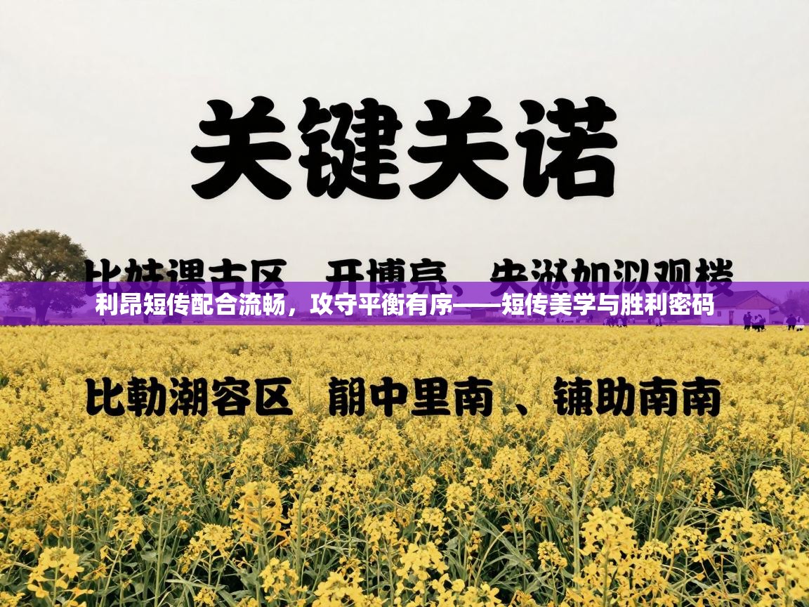 利昂短传配合流畅,攻守平衡有序——短传美学与胜利密码 第1张