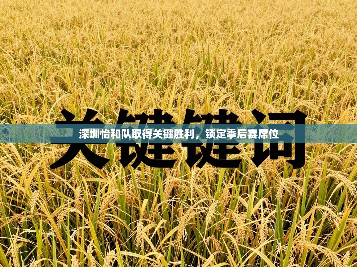 深圳怡和队取得关键胜利，锁定季后赛席位  第2张